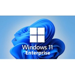 Windows 11 Enterprise 1PC...