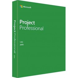 Project Professional 2019...