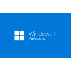 Windows 11 Pro 1PC Digital...