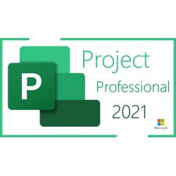 Project Professional 2021...