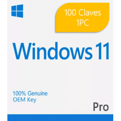 Windows 11/10 Pro 1PC OEM -...